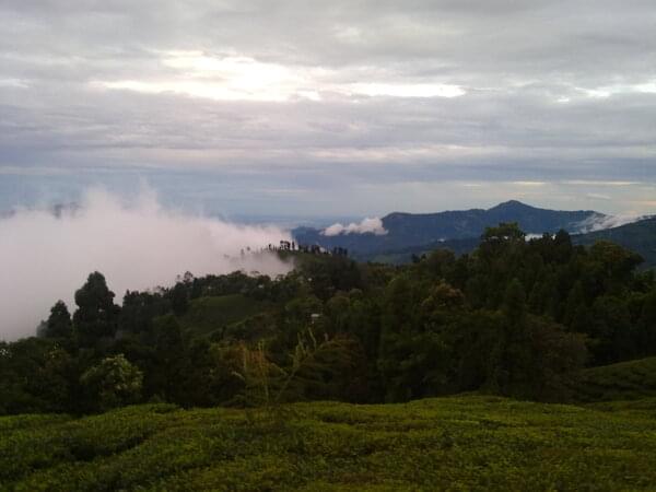 Darjeeling Universal Campus Facility & Environment photo 6